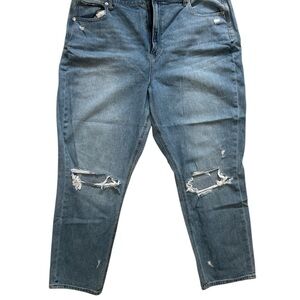 American Eagle Distressed Mom Jeans